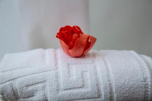a red rose sitting on top of a towel at Hostal La Rosa in Cáceres