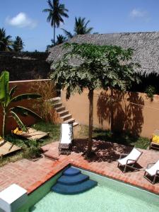 ein Resort mit einem Pool mit Stühlen und einem Baum in der Unterkunft Patio dos quintalinhos - Casa di Gabriele in Ilha de Moçambique