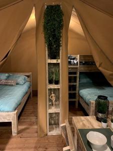 pokój z 2 łóżkami i namiotem w obiekcie Oh! Campings - Le Clos du Rhône w Saintes-Maries-de-la-Mer