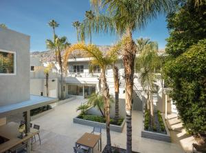 un patio con palmeras en un edificio en Movie Colony Hotel - Adults Only, en Palm Springs