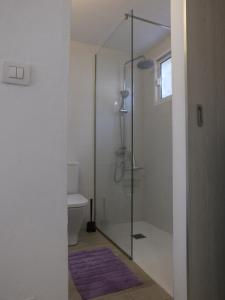 a bathroom with a glass shower with a toilet at BLU in Puerto del Carmen