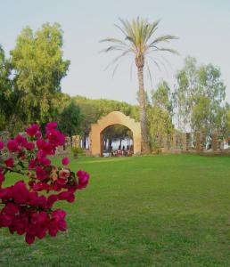 eine Palme und ein Grab mit einer Palme in der Unterkunft Principessa de Navarra in Santa Maria Navarrese