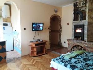 a living room with a bed and a fireplace at Kamilla Apartman in Esztergom