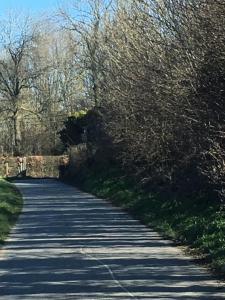 Fotografie z fotogalerie ubytování Annex v destinaci Oudenaarde