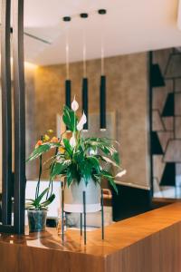Fotografie z fotogalerie ubytování Hotel Stela Center v destinaci Tirana