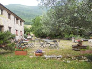 Ein Garten an der Unterkunft Il Giardino Degli Ulivi