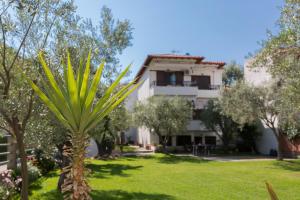 a palm tree in front of a building at KaitiapARTments in Toroni