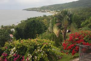 a view of the ocean from a hill with flowers at kazAnne in Pointe-Noire