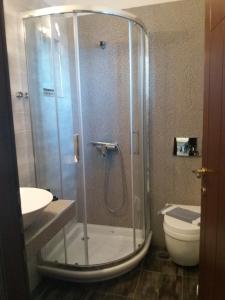 a bathroom with a shower and a toilet and a sink at Pansion Irini in Ouranoupoli