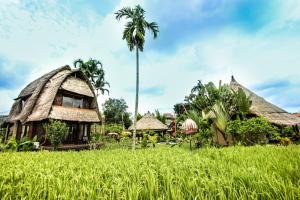 une maison dans un champ avec un palmier dans l'établissement Ubud Hidden Villa Yone village, à Ubud