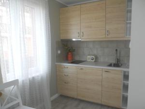 Kuchnia lub aneks kuchenny w obiekcie Apartament Ohar