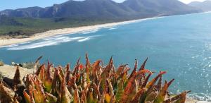 Paesaggio naturale nelle vicinanze del bed & breakfast