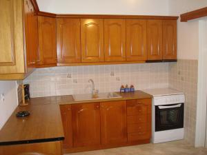 Кухня или мини-кухня в Villa Lagosta
