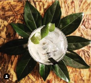 a drink with mint on top of a plant at Hôtel Le G (ex Le Genève) in Nice