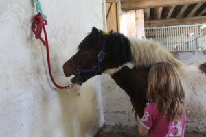 a little girl is petting a horse in a barn at Gîte Domaine St Georges in Bagneux +17 photos
