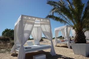 - 2 lits sur une plage avec un palmier dans l'établissement Menada Forum Apartments, à Sunny Beach