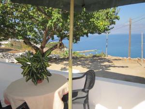 a table and chair with a tree and the ocean at Le Case dei Pescatori - Albicocco in Ponza +2 photos