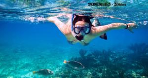 a woman swimming in the ocean with fish at Tamara Motels in Hikkaduwa