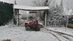 Cabañas Buenache during the winter
