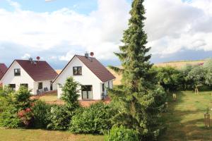 ein Haus mit einem Weihnachtsbaum im Hof in der Unterkunft Ferienhaus Klaus und Walter in Mechelsdorf