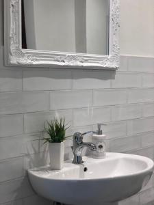 a bathroom sink with a mirror and a plant on it at BnB Paolina in Siena