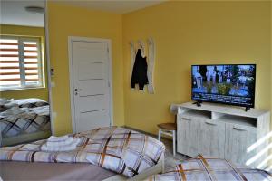 En tv och/eller ett underhållningssystem på Guest Apartment Balkan