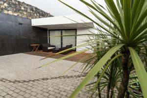 a palm tree in front of a house at Azaleas Guest House in Ribeira Chã