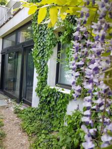 Zahrada ubytování Apartment Breeze