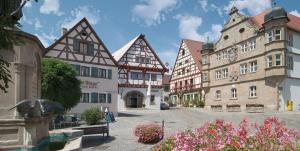 un grupo de edificios en una calle con flores en Ferienwohnungen Zeller, en Wolframs-Eschenbach