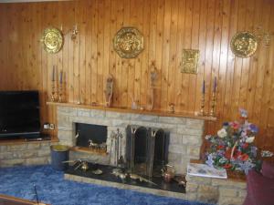 a living room with a fireplace and wooden walls at The Anchorage in Ose
