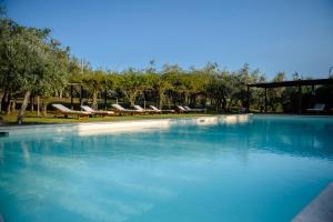 a swimming pool with a row of chairs and trees at Agriturismo San Gallo in Montepulciano