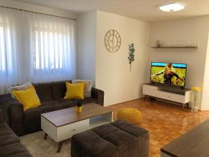 Televízia a/alebo spoločenská miestnosť v ubytovaní Apartment Golden Fields