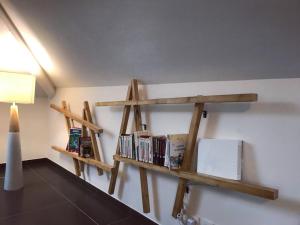 Knihovna v apartmánu