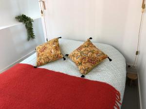 two pillows sitting on a couch with a red blanket at L'étoile de Trouville in Trouville-sur-Mer