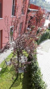 a tree in front of a building with two benches at Residenza XX Settembre in Maslianico