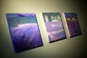 three paintings are hanging on a wall at Les Sansonnets in Vaux-sur-Sûre