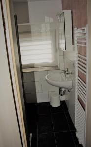 a small bathroom with a sink and a toilet at Alter Fritz Erfurt in Erfurt