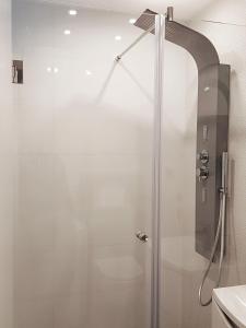 a shower with a glass door in a bathroom at Dream Apartments in Split