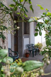 Ogród w obiekcie Pension Casa Maruja