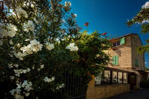 LOGIS HOTEL RESTAURANT L' Auberge d'Uzes في ازيس: شجرة بالورود البيضاء أمام سياج