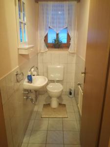 a bathroom with a toilet and a sink and a window at Ferienwohnung Hausladen in Arnbruck