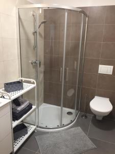 eine Duschkabine im Bad mit WC in der Unterkunft Apartmány Miromar in Podivín