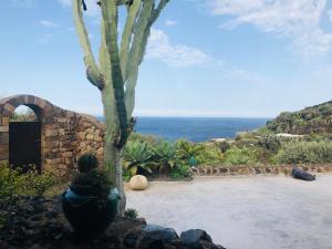 Fotografie z fotogalerie ubytování Dammuso Il Cucciolo - Ocean View Villa v destinaci Pantelleria