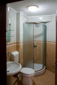 a bathroom with a shower and a toilet and a sink at Ivona 2 in Sveti Stefan