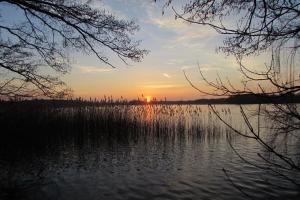 Příroda nedaleko ubytování v soukromí + 7 fotografií