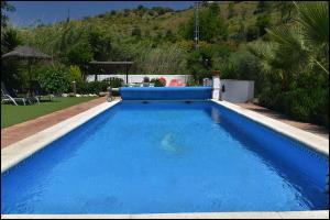 a large blue swimming pool in a yard at Molino de Las Tablas in Ríogordo