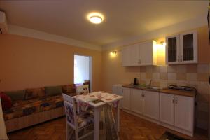 Kuchyň nebo kuchyňský kout v ubytování Apartments Astel