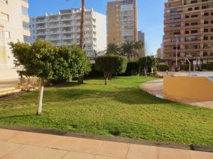 Ogród w obiekcie Clubrent - Apartamentos Apolo 17