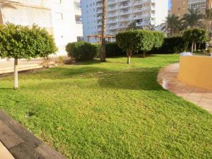 Ogród w obiekcie Clubrent - Apartamentos Apolo 17