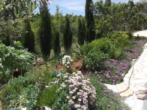 Jardín al aire libre en Villa Mirko